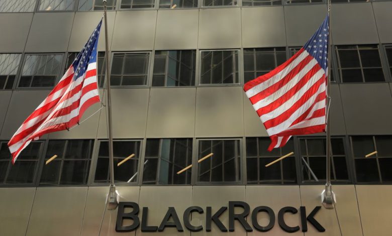 Las ganancias de BlackRock golpean mientras la demanda de ETF resiste la derrota del mercado