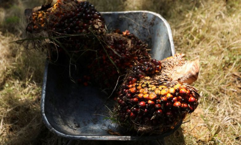 Malasia dice que puede detener las exportaciones de aceite de palma a la UE después de nuevas restricciones